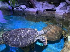 -多彩贵州城极地海洋世界