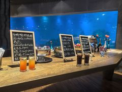 -海棠湾洲际-涛·海底餐厅·美人鱼·自助餐·海底隧道