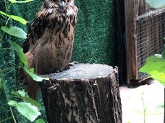 -沈阳鸟岛