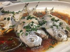 -上海1号私藏菜(静安店)