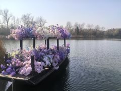 -溱湖国家湿地公园