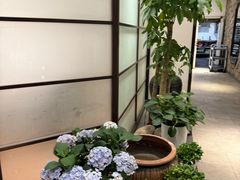 -毛家饭店·30年融合新湘菜(汉峪金谷店)