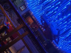 -蟹之国·精品蟹料理(极地店)