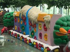 -南宫五洲植物乐园