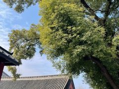 -长春观