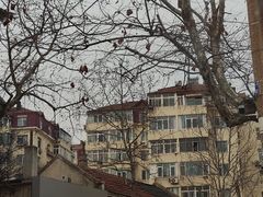-青岛第三海水浴场