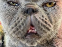 -平行世界·猫咖(首经贸店)