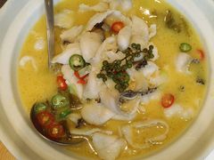 -海派美食·家宴海鲜青岛菜·石锅鲽鱼头(东方城店)