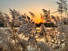 -野鸭湖国家湿地公园