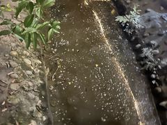 -凤来栖·净庭院·火锅(欧尚店)