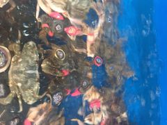 -宾朋海鲜特色美食餐厅·纯手工鲅鱼水饺(兴海路店)