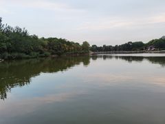 -塘沽森林公园