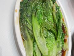 白灼生菜-饭怕鱼·黄焖鲟龙鱼(湖大店)