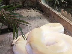 -上海大自然野生昆虫馆(东方明珠·爬宠昆虫探索中心)