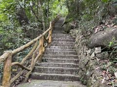 -海南热带雨林国家公园吊罗山景区