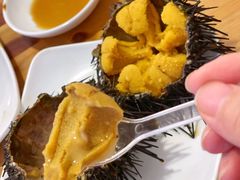 -海胆小馆(东北水饺·春柳店)