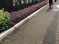 -上海证券交易所(上海证券大厦北塔店)