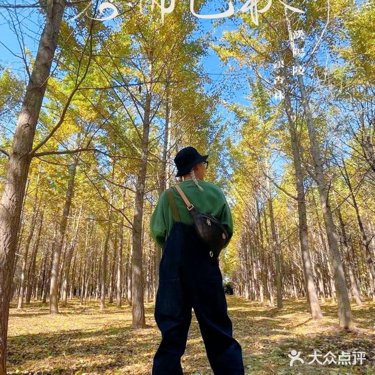 汉阳陵一日游|汉服写真|博物馆宝藏行