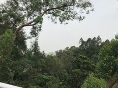 -广州雕塑公园