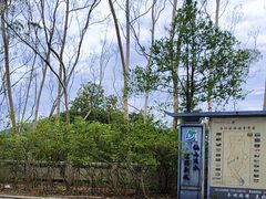 -福建泉州仙公山风景名胜区