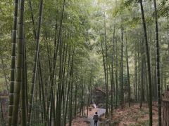 -山沟沟景区