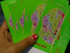 -广东茂名森林公园