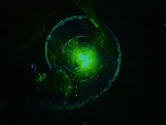 -厦门方特东方神画