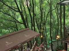 -巴倒烫陆派火锅山庄(南山总店)