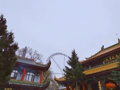 -哈尔滨文化公园