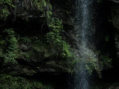 -龙苍沟森林公园