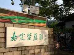 -嘉定紫藤园