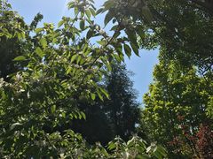 -武清南湖绿博园