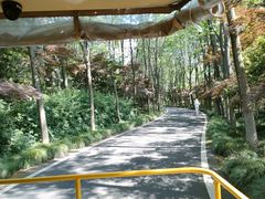 -宜兴龙背山森林公园