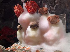 -雍容荟帝王蟹活龙虾展台自助(IFS黑金店)