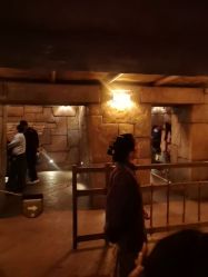 -翱翔飞越地平线