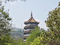 -金城公园