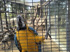 -祥源·阜阳生态乐园