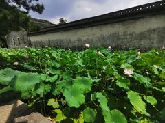 -兰亭风景区