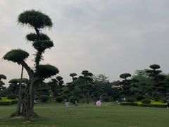-南宁南湖公园