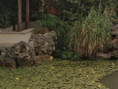-芥子园