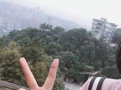 -南山植物园