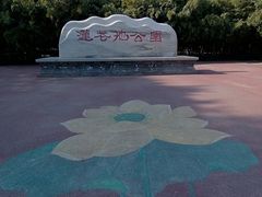 -莲花池公园