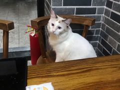 -蒋六十八梯眼镜面(狮子坪店)