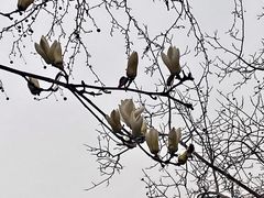 -睦南公园