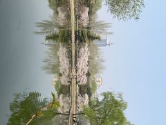 -中华世纪坛-停车场