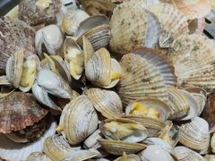 -77号渔船·蒸海鲜青岛菜(积米崖店)