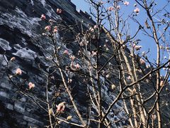 -东华门大街小区