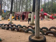 -合肥滨湖国家森林公园