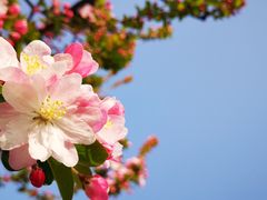 -海棠花溪(元大都城垣遗址公园)