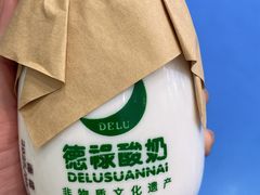 -德禄酸奶(莫家街店)